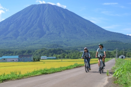 ROAD BIKE
