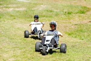 Mountain cart